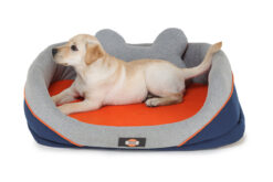 Barks & Wags Orange and Blue Cuddler Dog & Cat Bed