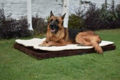 Barks n Wags Brown & Cream Lounger Dog & Cat Bed