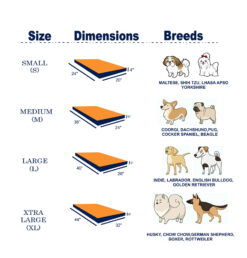 Barks n Wags Orange and Blue Cuddler Dog & Cat Bed