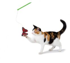 Petstages Butterfly Chase Wand Cat Toy