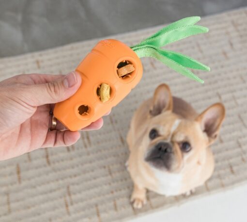 Petstages Nubbiez Squeaker Ball Dog Toy - Large