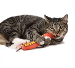 Petstages Wild Times Dynamite Cat Toy