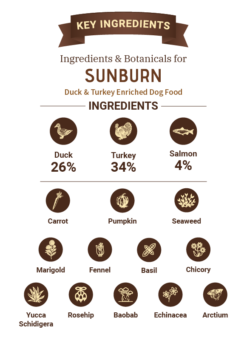Bruno’s Wild Essentials Sunburn Duck & Turkey Dry Dog Food (All Breeds & Life Stages)