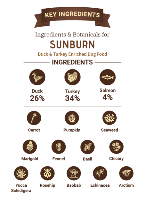 Bruno's Wild Essentials Sunburn Duck & Turkey Dry Dog Food (All Breeds & Life Stages)