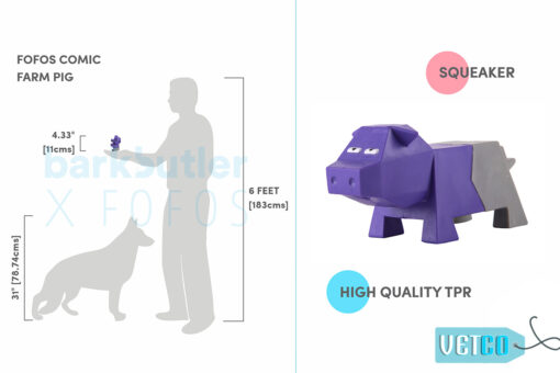 FOFOS Comic Farm Pig Dog Toy