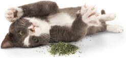 SmartyKat Organic Catnip Pouch, 14 gms