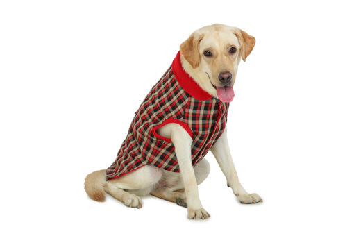 Barks & Wags Black & Red Plaid Jacket