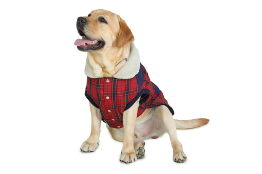 Barks & Wags Black & Red Plaid Jacket