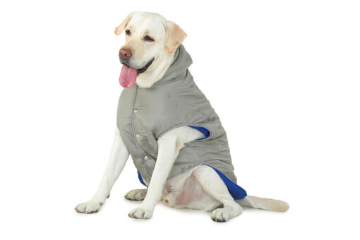 Barks & Wags Grey Hooded Microfiber Jacket