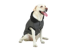 Barks & Wags Grey Microfiber Insulated Coat