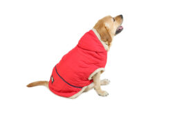 Barks & Wags Red Fur Hood Jacket