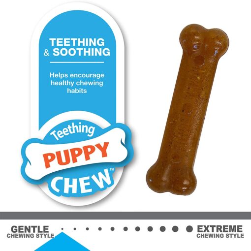 Nylabone Puppy Ring Chicken Bone Teething Toy for Puppies