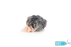 FOFOS Pull String Mouse Catnip Cat Toy – Grey
