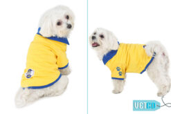 Barks & Wags Yellow & Royal Blue Polo Dog Shirt