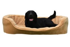 Barks & Wags Yellow Velvet Sofa Dog & Cat Bed