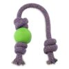 Beco Pets Natural Rubber Ball On A Rope Dog Toy - Blue