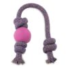 Beco Pets Natural Rubber Ball On A Rope Dog Toy - Blue