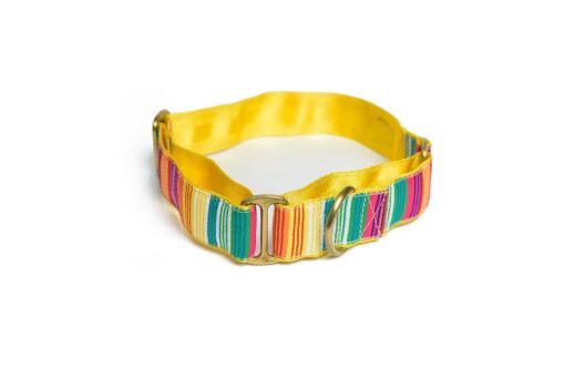 PetWale Colourful Stripes Martingale Dog Collar