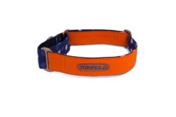 PetWale Orange Martingale Dog Collar