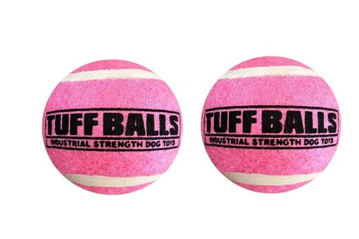 Petsport Tuff Ball Dog Toy 2 Pack -  Pink