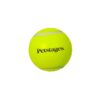 Petstages Squeakin Whistler Ball Dog Toy