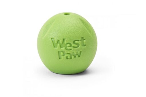 West Paw Zogoflex Echo Rando Dog Toy - Green