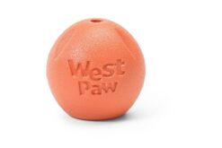 West Paw Zogoflex Echo Rando Dog Toy - Orange