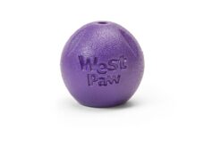 West Paw Zogoflex Echo Rando Dog Toy - Purple