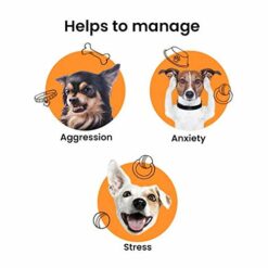 Bark Out Loud Calming & Anxiety Supplement for Dogs (5 Sachets)