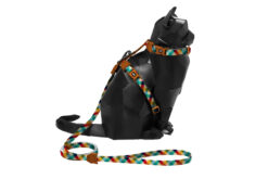 Zee.Dog Prisma Cat Leash & Harness Set