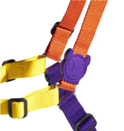 ZeeDog Pump Soft-Walk Dog Harness