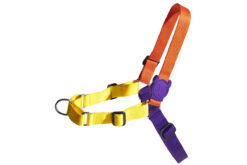 ZeeDog Pump Soft-Walk Dog Harness
