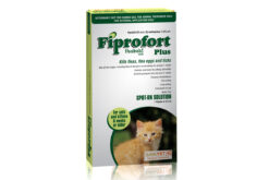 Fiprofort Plus Spot On Solution For Cats and Kittens (above 8 weeks of age)