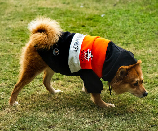 Pet Snugs Basketball Print Hoodie for Dogs - Orange