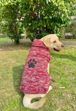 Pet Snugs Fur Coated Paw Design Hooded Dog Sweater – Red