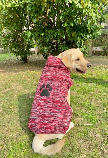 Pet Snugs Fur Coated Paw Design Hooded Dog Sweater - Red