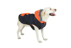 Barks & Wags Blue & Orange Zip Up Fur Coat