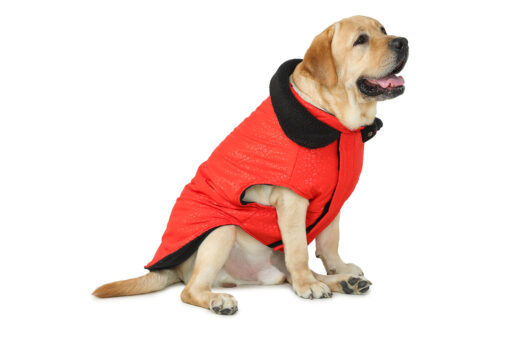 Barks & Wags Red Fur Winter Dog Jacket