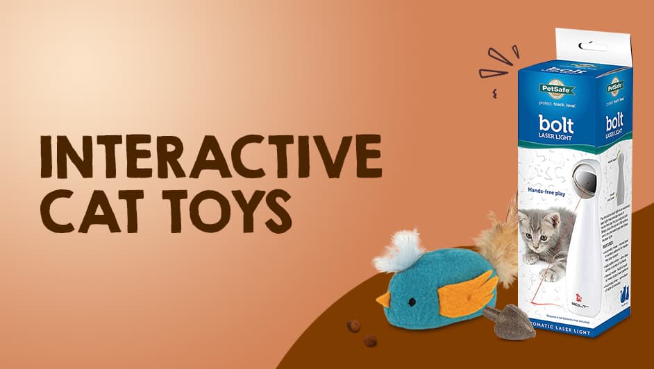 Interactive cat toys - Vetco