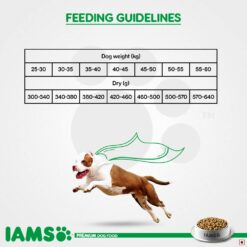IAMS Proactive Health Smart Adult Dry Dog Food (Large Breeds)