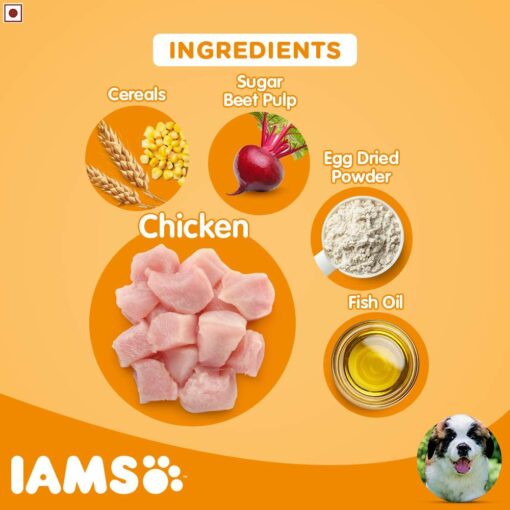 IAMS Proactive Health Smart Puppy Dry Dog Food (Large Breeds)