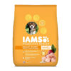 IAMS Proactive Health Smart Puppy Dry Dog Food (Small & Medium Breeds)