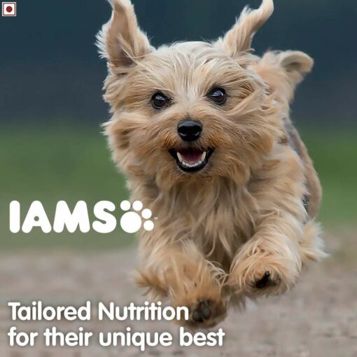 IAMS Proactive Health Smart Adult Labrador Dry Dog Food