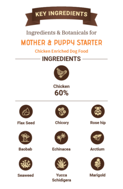 Bruno’s Wild Essentials Puppy Starter Mother & Babydog Dry Dog Food (All Breeds & Sizes)