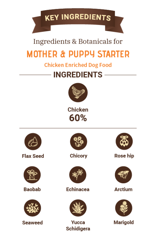 Bruno's Wild Essentials Puppy Starter Mother & Babydog Dry Dog Food (All Breeds & Sizes)