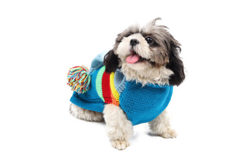 Woofs n Wags Zig-Zag Genie Hand-knitted Acrylic Sweater for Dogs