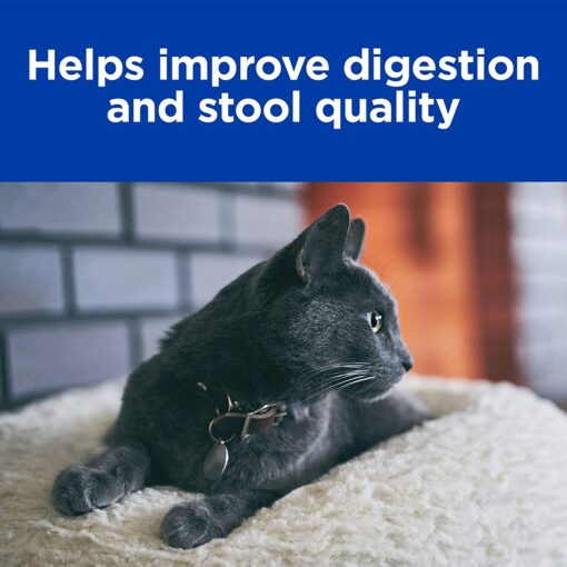 Hills Prescription Diet Dry Cat Food - Digestive Care i/d