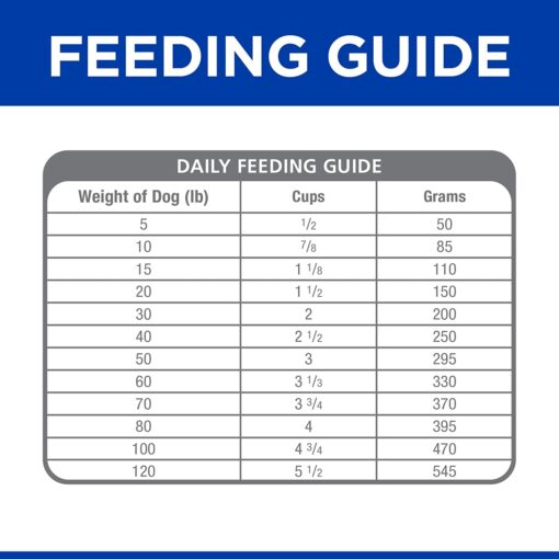 hills renal diet for dogs