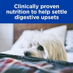 Hills Prescription Diet Dry Dog Food – Digestive Care i/d