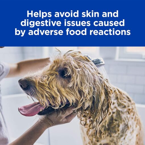 Hills Prescription Diet Dry Dog Food - Skin/Food Sensitivities Small Bites z/d